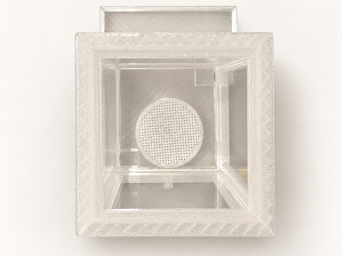 Small Fungus Chamber