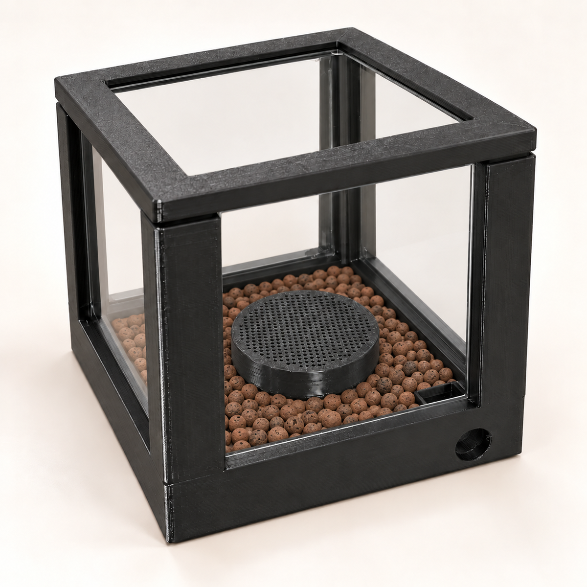 Small Fungus Chamber