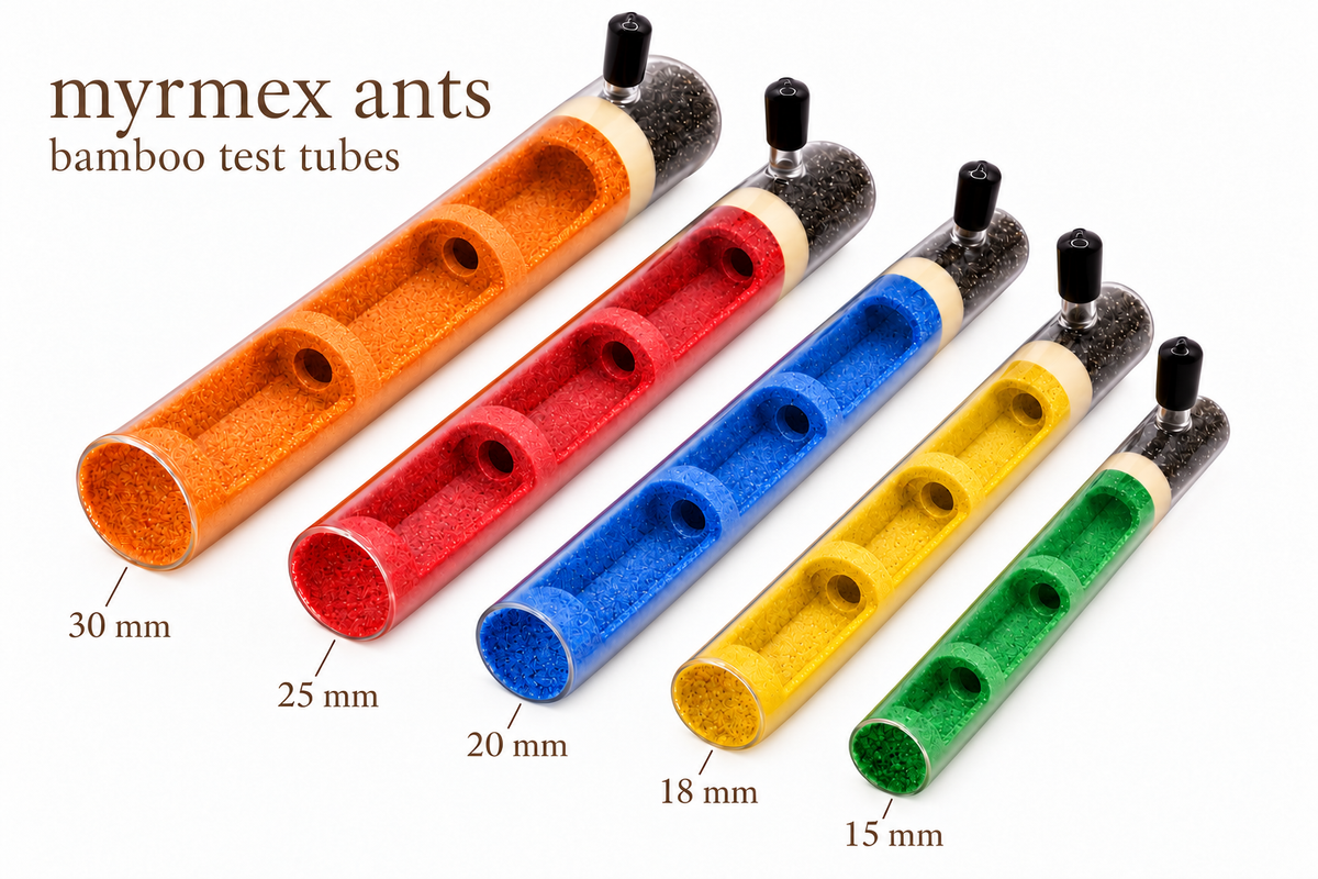 MyrmexAnts bamboo test tubes — color and chamber options