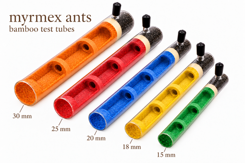 MyrmexAnts bamboo test tubes — color and chamber options