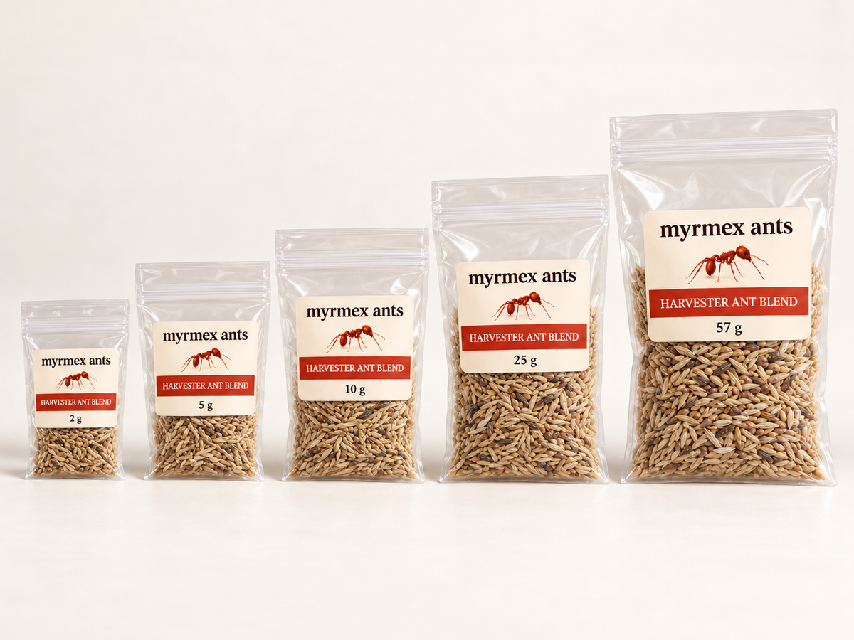 Harvester Ant Blend